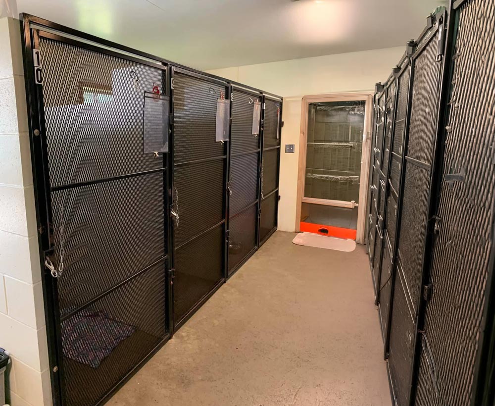 Individual Kennels